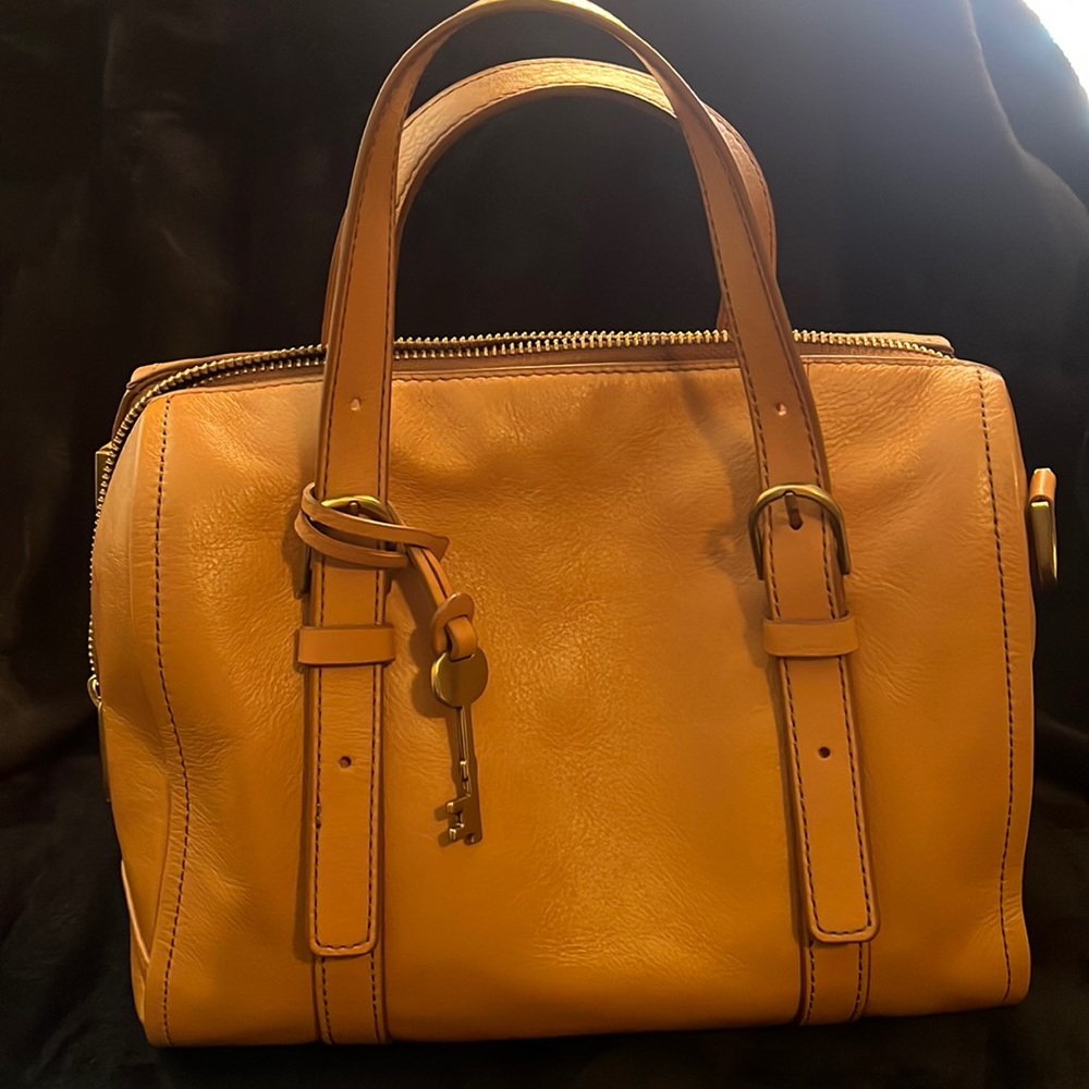 Fossil satchel